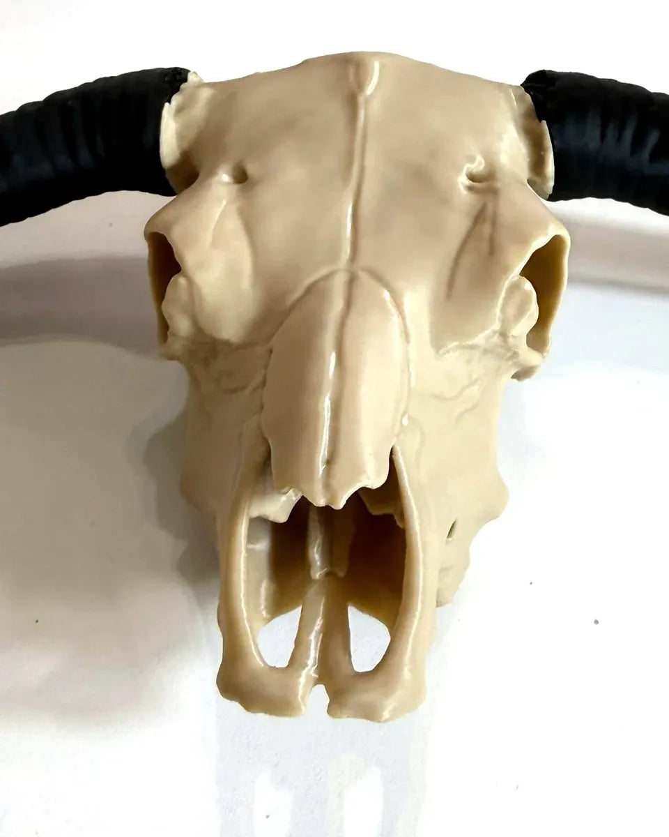 Long Horn Agro Decor – Parede ou Mesa